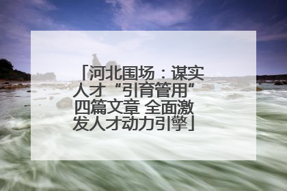 河北围场：谋实人才“引育管用”四篇文章 全面激发人才动力引擎