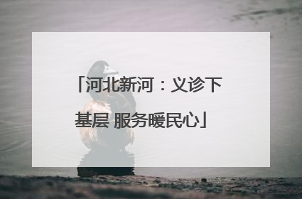 河北新河：义诊下基层 服务暖民心