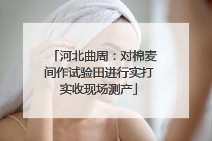 河北曲周：对棉麦间作试验田进行实打实收现场测产