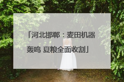 河北邯郸：麦田机器轰鸣 夏粮全面收割