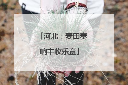 河北：麦田奏响丰收乐章