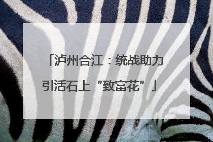 泸州合江：统战助力引活石上“致富花”