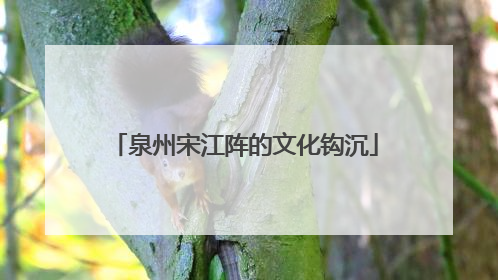 泉州宋江阵的文化钩沉
