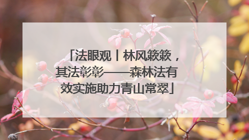 法眼观丨林风簌簌，其法彰彰——森林法有效实施助力青山常翠