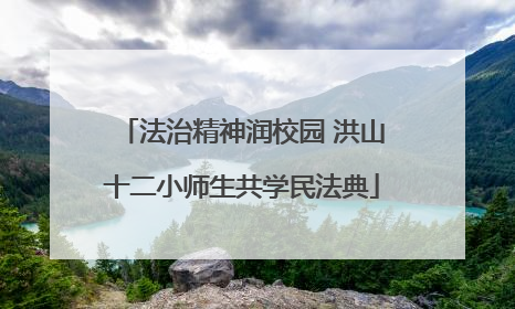 法治精神润校园 洪山十二小师生共学民法典