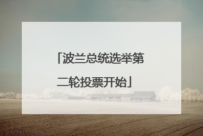波兰总统选举第二轮投票开始