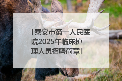 泰安市第一人民医院2025年临床护理人员招聘简章