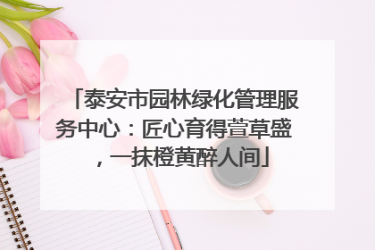 泰安市园林绿化管理服务中心：匠心育得萱草盛，一抹橙黄醉人间