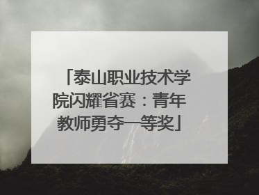 泰山职业技术学院闪耀省赛：青年教师勇夺一等奖