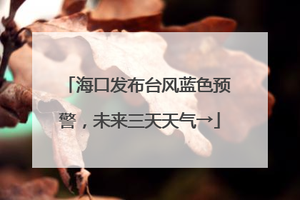 海口发布台风蓝色预警，未来三天天气→