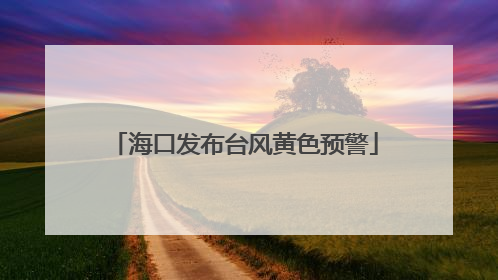 海口发布台风黄色预警