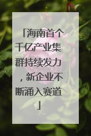 海南首个千亿产业集群持续发力，新企业不断涌入赛道