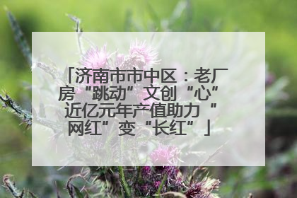 济南市市中区：老厂房“跳动”文创“心” 近亿元年产值助力“网红”变“长红”