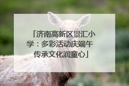 济南高新区景汇小学：多彩活动庆端午 传承文化润童心