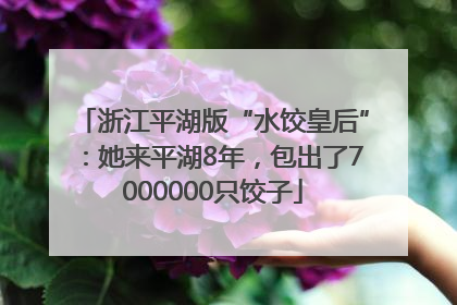 浙江平湖版“水饺皇后”：她来平湖8年，包出了7000000只饺子
