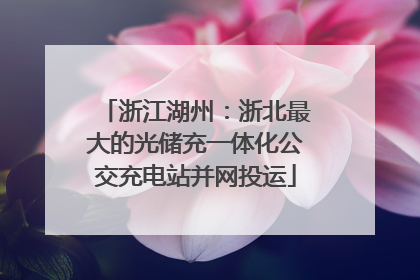 浙江湖州：浙北最大的光储充一体化公交充电站并网投运