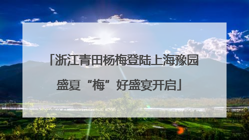 浙江青田杨梅登陆上海豫园 盛夏“梅”好盛宴开启