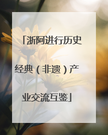 浙阿进行历史经典（非遗）产业交流互鉴