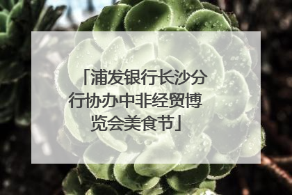 浦发银行长沙分行协办中非经贸博览会美食节
