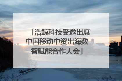 浩鲸科技受邀出席中国移动中资出海数智赋能合作大会