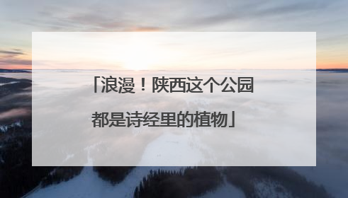浪漫！陕西这个公园都是诗经里的植物