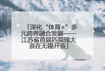 深化“体育+”多元跨界融合发展——江苏省首届匹克球大赛在无锡开赛