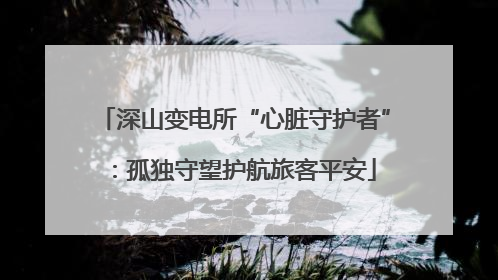 深山变电所“心脏守护者”：孤独守望护航旅客平安