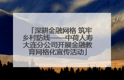 深耕金融网格 筑牢乡村防线——中荷人寿大连分公司开展金融教育网格化宣传活动