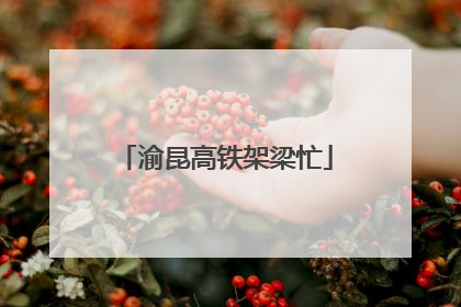 渝昆高铁架梁忙