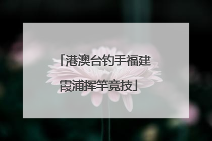 港澳台钓手福建霞浦挥竿竞技