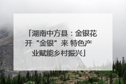 湖南中方县：金银花开“金银”来 特色产业赋能乡村振兴