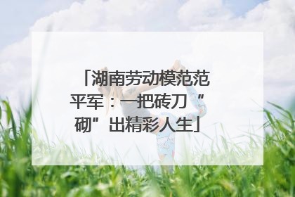 湖南劳动模范范平军：一把砖刀“砌”出精彩人生