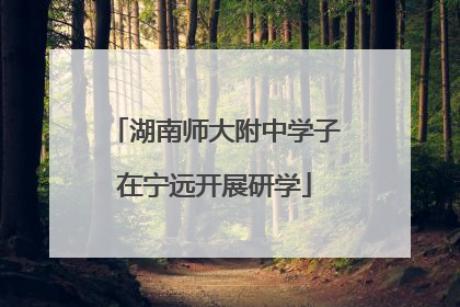 湖南师大附中学子在宁远开展研学