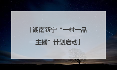 湖南新宁“一村一品一主播”计划启动