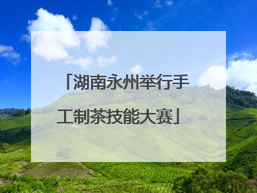 湖南永州举行手工制茶技能大赛