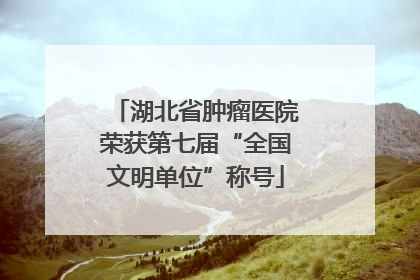 湖北省肿瘤医院荣获第七届“全国文明单位”称号