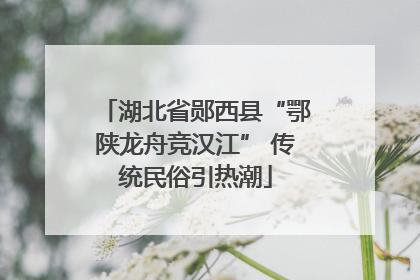 湖北省郧西县“鄂陕龙舟竞汉江” 传统民俗引热潮