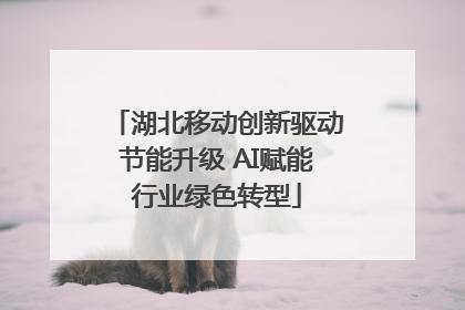 湖北移动创新驱动节能升级 AI赋能行业绿色转型