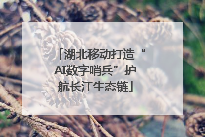 湖北移动打造“AI数字哨兵”护航长江生态链