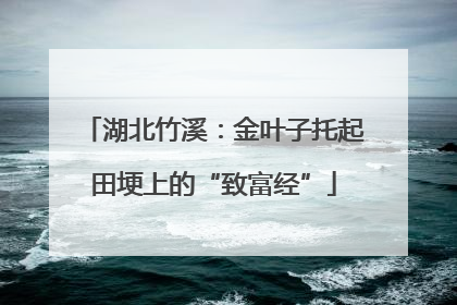 湖北竹溪：金叶子托起田埂上的“致富经”
