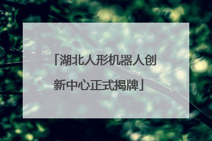 湖北人形机器人创新中心正式揭牌