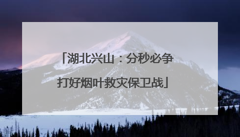 湖北兴山：分秒必争 打好烟叶救灾保卫战