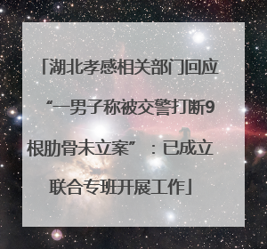 湖北孝感相关部门回应“一男子称被交警打断9根肋骨未立案”：已成立联合专班开展工作