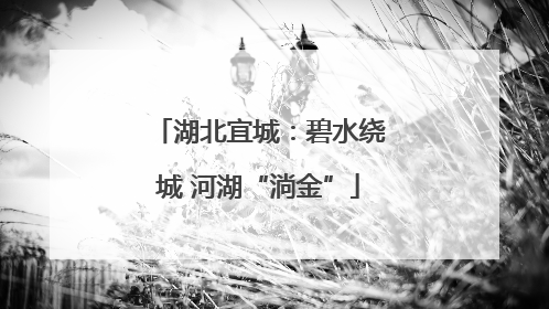 湖北宜城：碧水绕城 河湖“淌金”