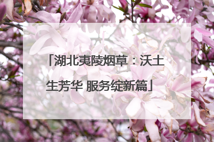 湖北夷陵烟草：沃土生芳华 服务绽新篇