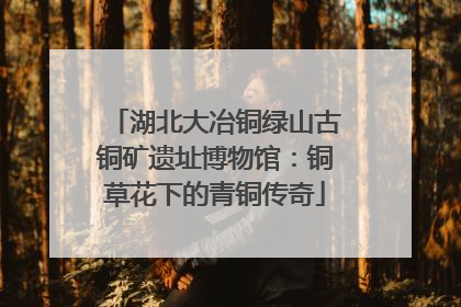 湖北大冶铜绿山古铜矿遗址博物馆：铜草花下的青铜传奇