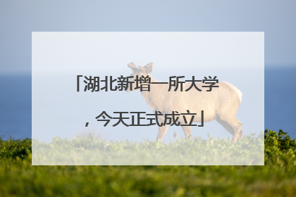 湖北新增一所大学，今天正式成立