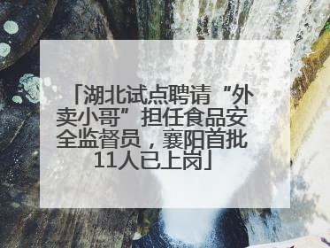 湖北试点聘请“外卖小哥”担任食品安全监督员，襄阳首批11人已上岗
