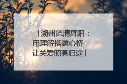 湖州德清舞阳：用理解搭建心桥 让关爱照亮归途