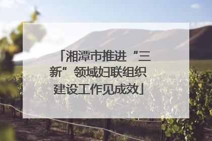 湘潭市推进“三新”领域妇联组织建设工作见成效